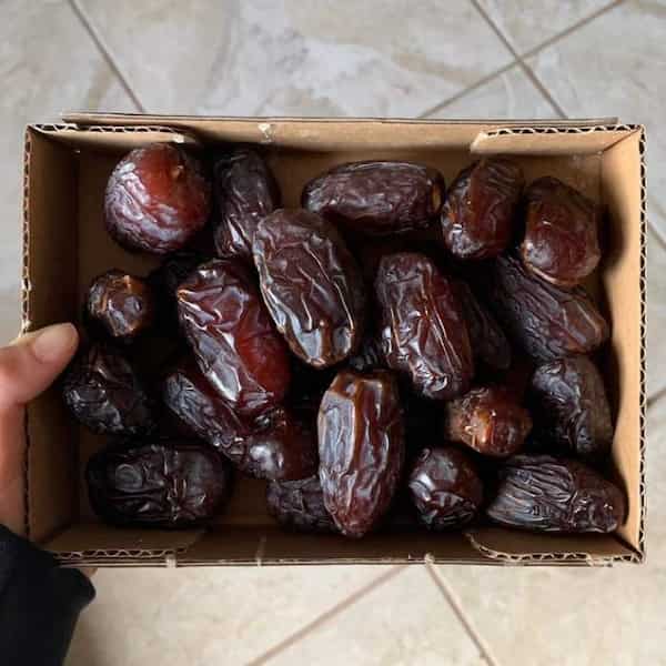 تصویر 4 از قیمت خرید خرما کبکاب صادراتی + فروش ویژه